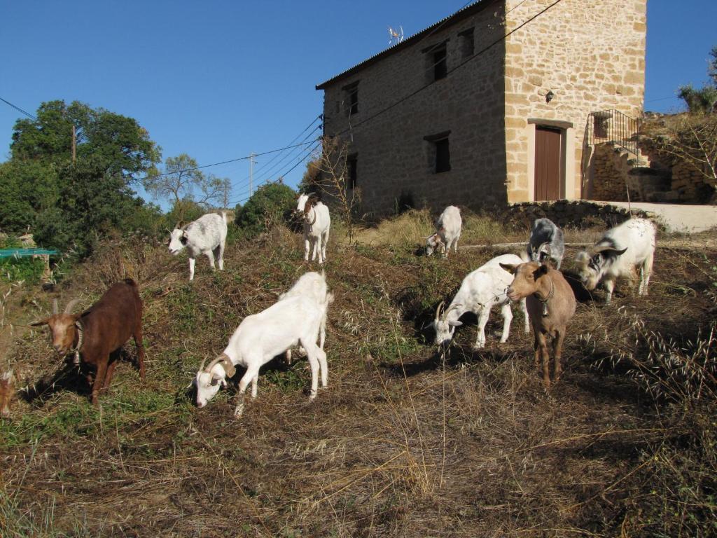 La Telleria Hotel Valjunquera Luaran gambar